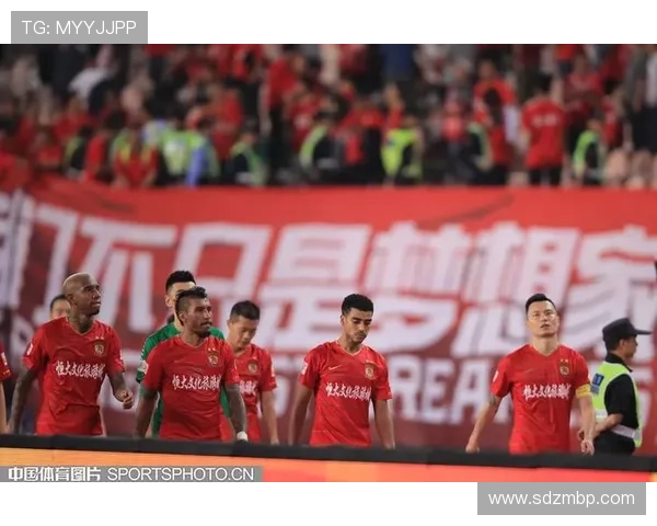 什么叫职业体育联赛（职业体育联盟名词解释）sports