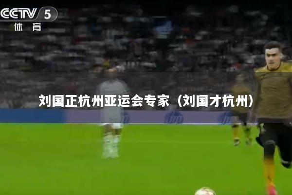 刘国正杭州亚运会专家（刘国才杭州）