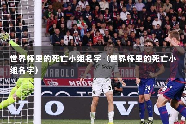 世界杯里的死亡小组名字（世界杯里的死亡小组名字）