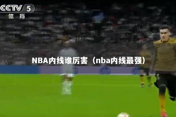 NBA内线谁厉害（nba内线最强）